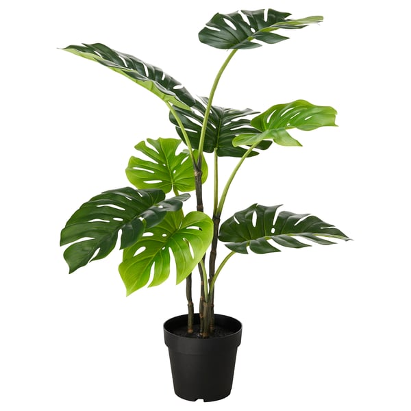 FEJKA Topfpflanze, künstlich, drinnen/draußen Monstera, 19 cm