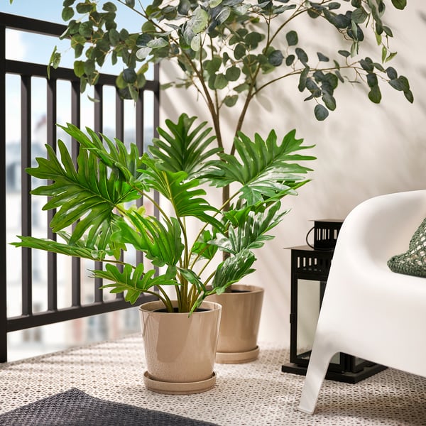 FEJKA Topfpflanze, künstlich, drinnen/draußen Philodendron Xanadu, 19 cm