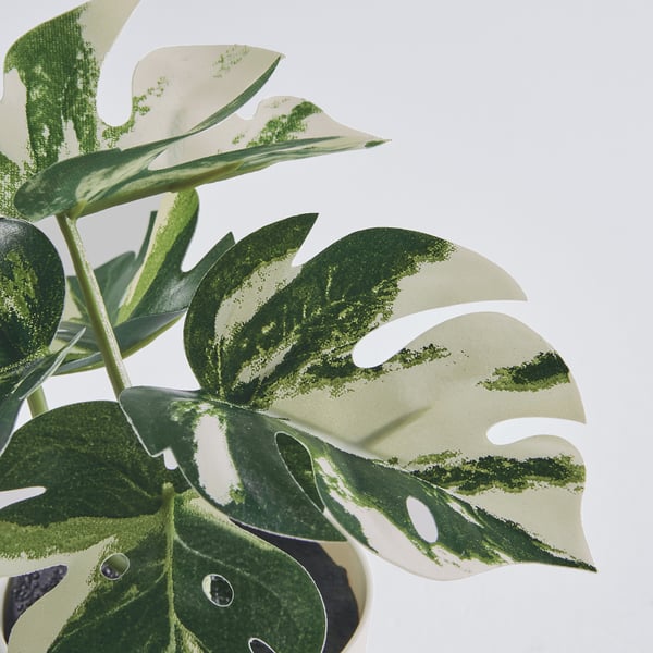 FEJKA Topfpflanze, künstlich/mit Topf, drinnen/draußen Monstera, 6 cm