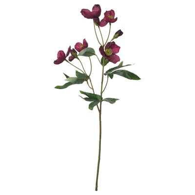 SMYCKA Kunstblume, drinnen/draußen Christrose, 50 cm