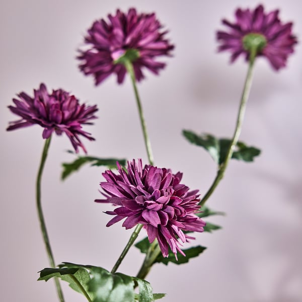 SMYCKA Kunstblume, drinnen/draußen Chrysantheme/lila, 71 cm