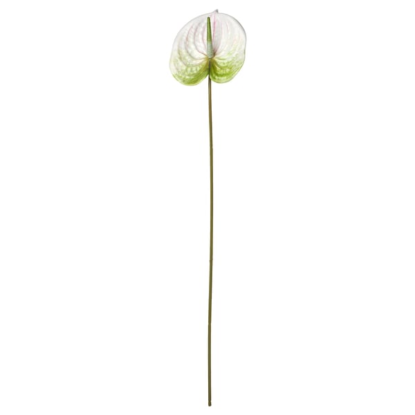 SMYCKA Kunstblume, drinnen/draußen Flamingoblume/weiß, 66 cm