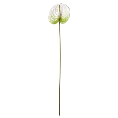 SMYCKA Kunstblume, drinnen/draußen Flamingoblume/weiß, 66 cm
