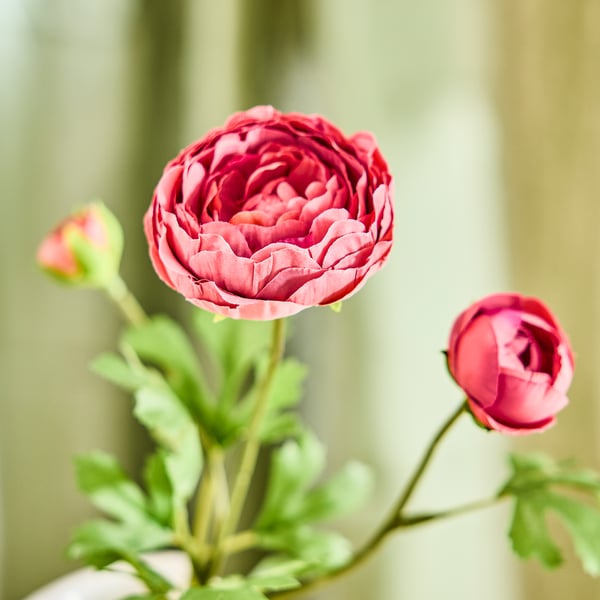 SMYCKA Kunstblume, drinnen/draußen Ranunkel/dunkelrosa, 52 cm