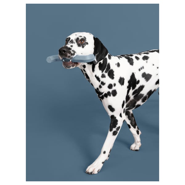 UTSÅDD Hundespielzeug, graublau