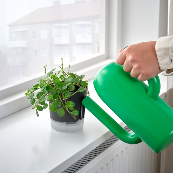 VÅRDTRÄD Selbstbewässerungstopf, drinnen/draußen transparent/anthrazit, 9 cm