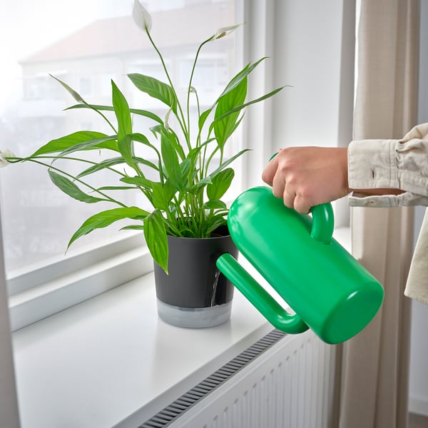 VÅRDTRÄD Selbstbewässerungstopf, drinnen/draußen transparent/anthrazit, 12 cm