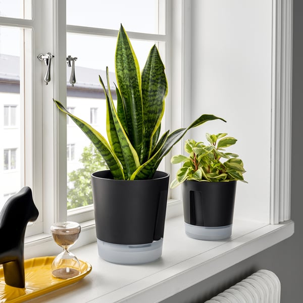 VÅRDTRÄD Selbstbewässerungstopf, drinnen/draußen transparent/anthrazit, 15 cm