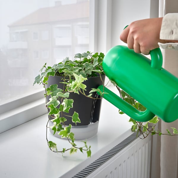 VÅRDTRÄD Selbstbewässerungstopf, drinnen/draußen transparent/anthrazit, 15 cm