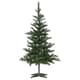 Alberi di Natale e piante