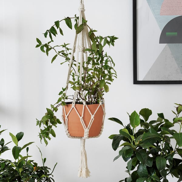 White macrame hanging plant holder, 12-15cm pots.