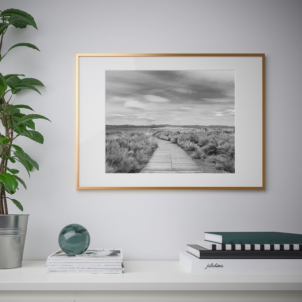 A modern living space a LOMVIKEN picture frame with a trail photo, beside a plant and stacked books.