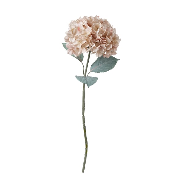 SMYCKA Artificial flower, in/outdoor hydrangea/light beige, 75 cm