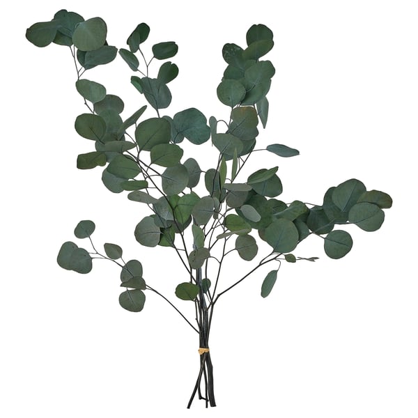 TORKA Dried plants, bunch/eucalyptus green, 70 cm