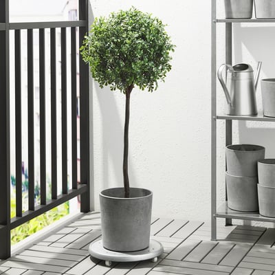 BOYSENBÄR Cache-pot, intérieur/extérieur gris clair, 15 cm