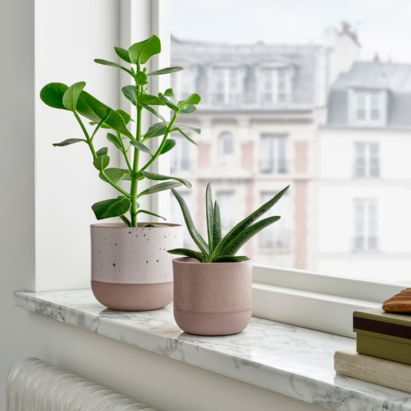 BUSKKAPRIFOL Cache-pot, intérieur/extérieur/gris, 9 cm