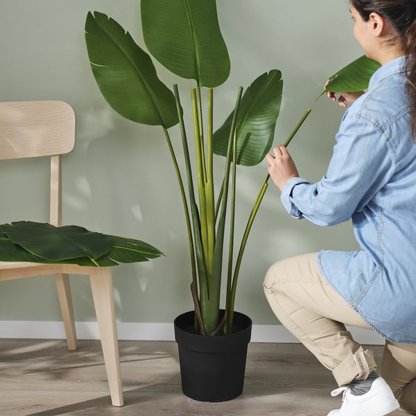 FEJKA Plante artificielle, intérieur/extérieur/., 23 cm