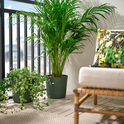 FRÄKENVÄXT Cache-pot, intérieur/extérieur/vert profond, 24 cm