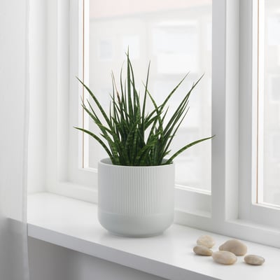 GRADVIS Cache-pot, gris, 15 cm