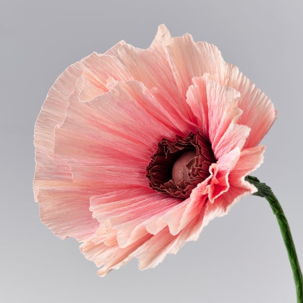 GULDSPETT Fleur artificielle, papier/coquelicot rose, 40 cm