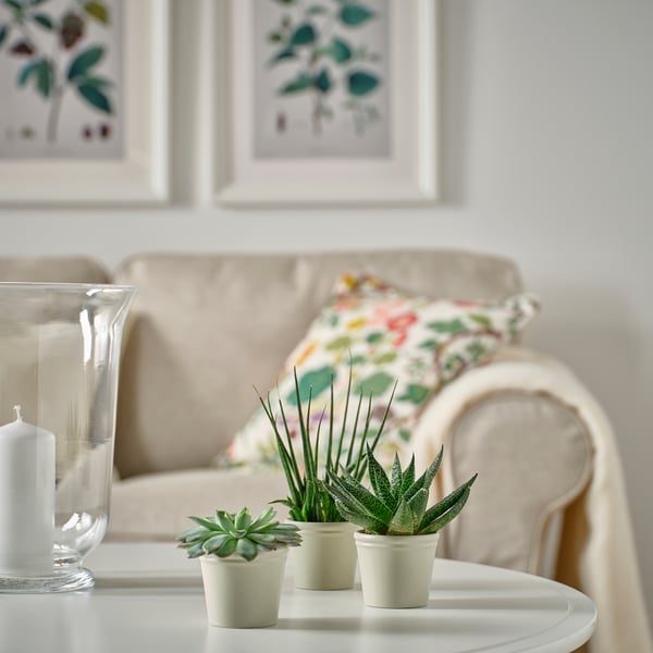 KÖRSBÄRSBJÖRK Cache-pot, beige-gris clair, 6 cm