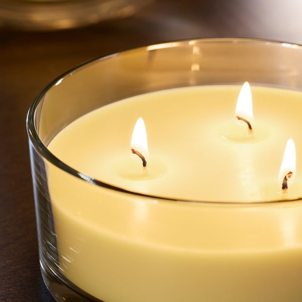 LOTSFÅGEL Bougie parf 3 mèches ds verre, fleur de citronnier jaune clair, 25 hr