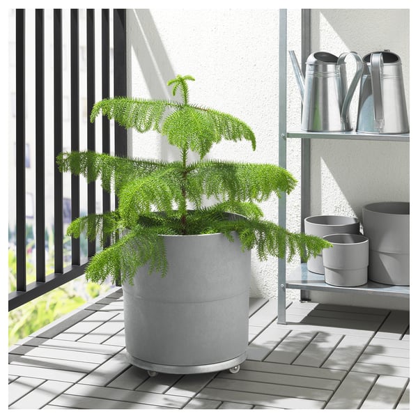 NYPON Cache-pot, intérieur/extérieur gris, 32 cm