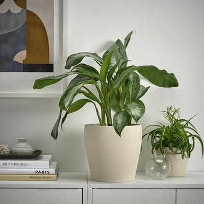 PERSILLADE Cache-pot, beige clair, 19 cm