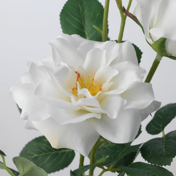 SMYCKA Fleur artificielle, intérieur/extérieur/rose blanc, 65 cm