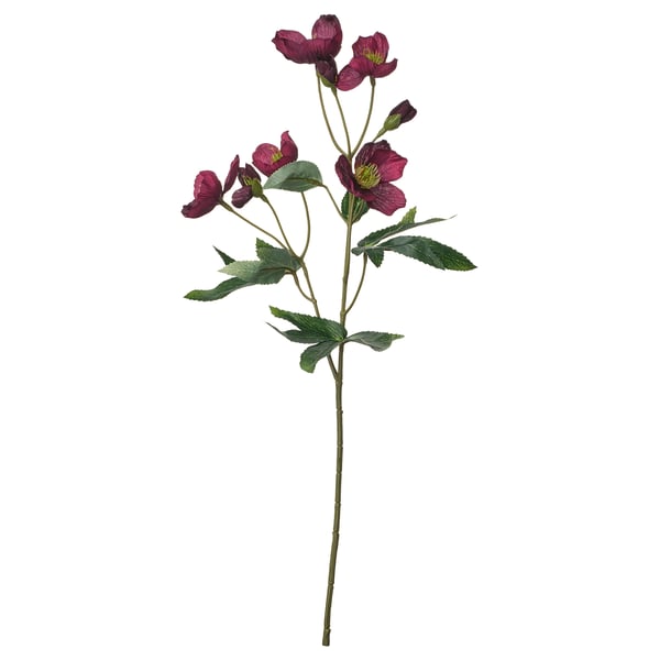 SMYCKA Fleur artificielle, intérieur/extérieur rose de noël, 50 cm