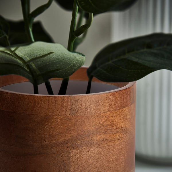 SVARTHÄTTA Cache-pot, manguier, 15 cm