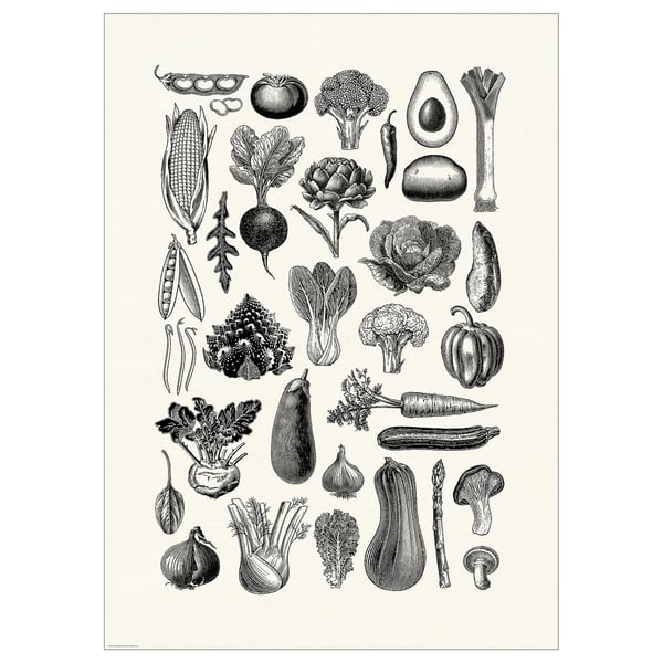 BILD Poster, verdure, 50x70 cm