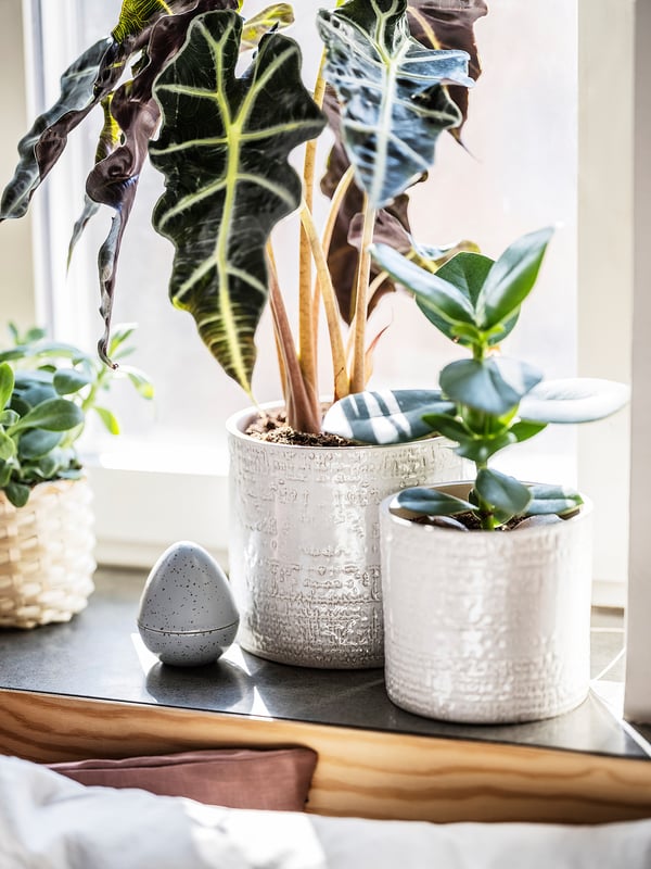 CHIAFRÖN Portavasi, da interno/esterno bianco, 12 cm