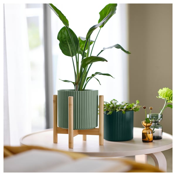 DAKSJUS Vaso, verde chiaro, 15 cm