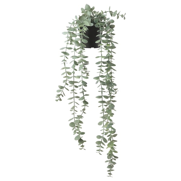 FEJKA Pianta artificiale in vaso, da interno/esterno a sospensione/eucalipto, 9 cm