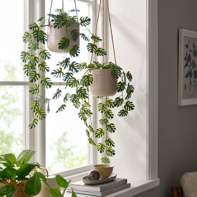 FEJKA Pianta artificiale in vaso, da interno/esterno a sospensione/monstera, 9 cm