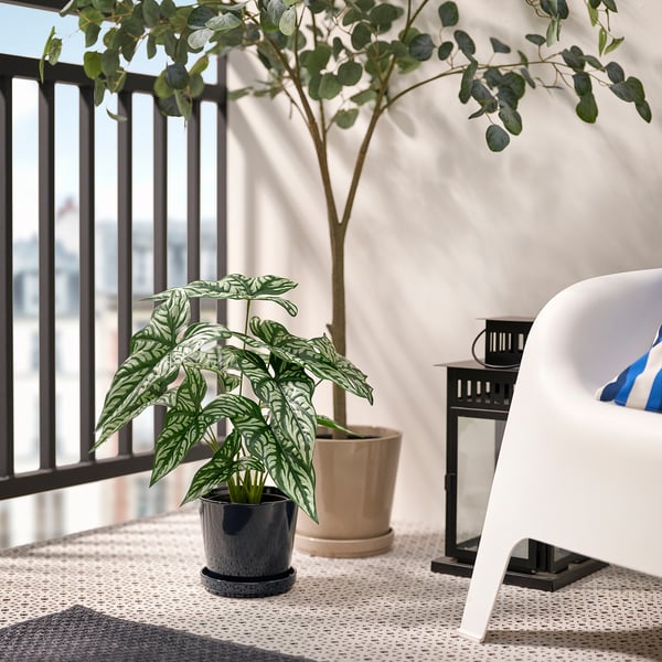 FEJKA Pianta artificiale in vaso, da interno/esterno Aroide africana, 15 cm