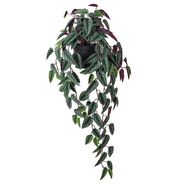 FEJKA Pianta artificiale in vaso, da interno/esterno cissus/a sospensione, 15 cm