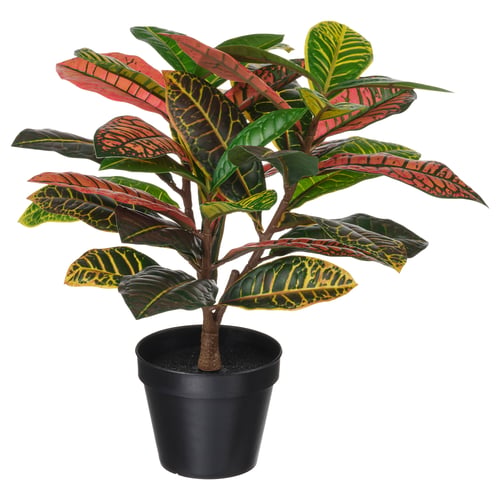 FEJKA Pianta artificiale in vaso, da interno/esterno croton, 12 cm