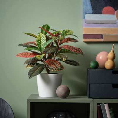 FEJKA Pianta artificiale in vaso, da interno/esterno croton, 12 cm