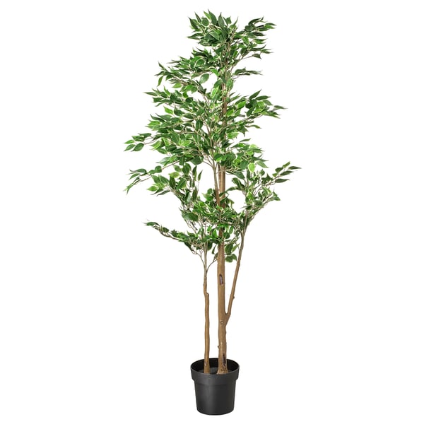 FEJKA Pianta artificiale in vaso, da interno/esterno Ficus benjamina, 21 cm
