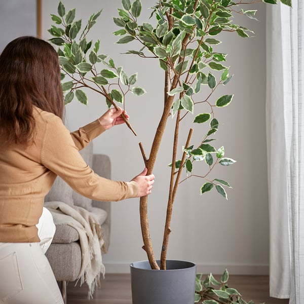 FEJKA Pianta artificiale in vaso, da interno/esterno/Ficus benjamina, 23 cm