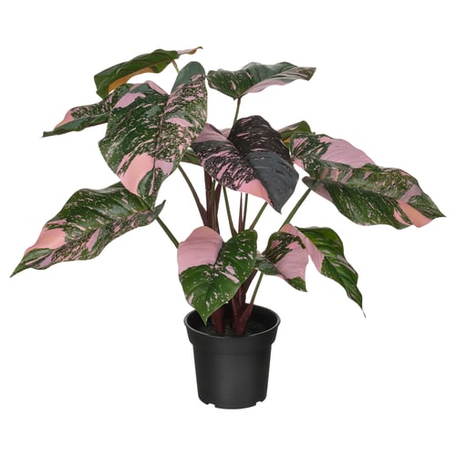 FEJKA Pianta artificiale in vaso, da interno/esterno Filodendro/verde/rosa, 15 cm