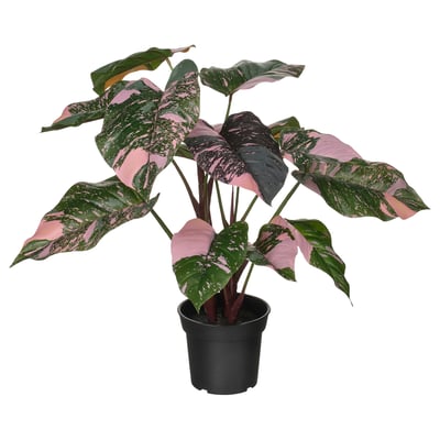 FEJKA Pianta artificiale in vaso, da interno/esterno Filodendro/verde/rosa, 15 cm