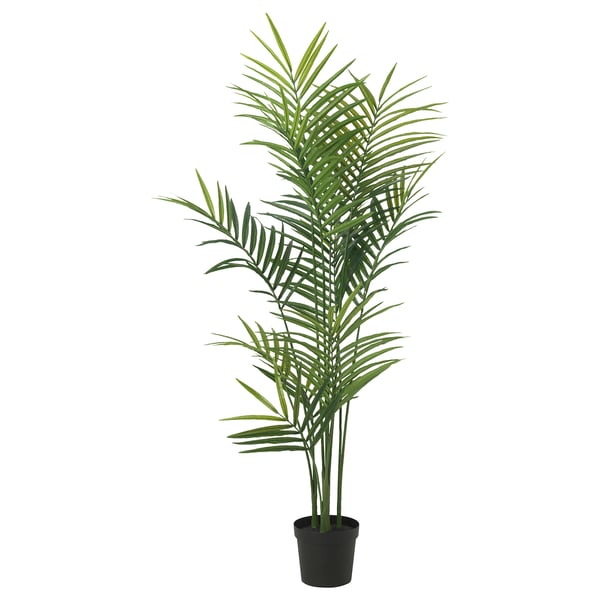 FEJKA Pianta artificiale in vaso, da interno/esterno/Kentia forsteriana, 21 cm