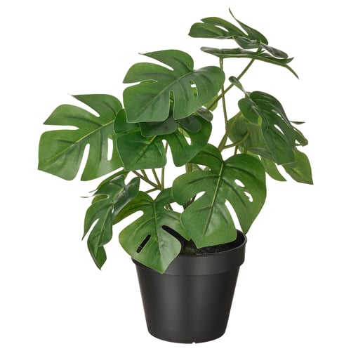 FEJKA Pianta artificiale in vaso, da interno/esterno monstera, 12 cm