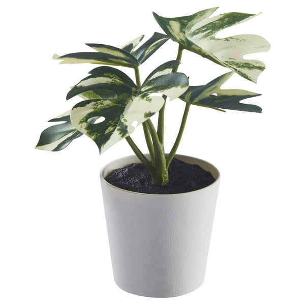 FEJKA Pianta artificiale in vaso, da interno/esterno monstera, 6 cm