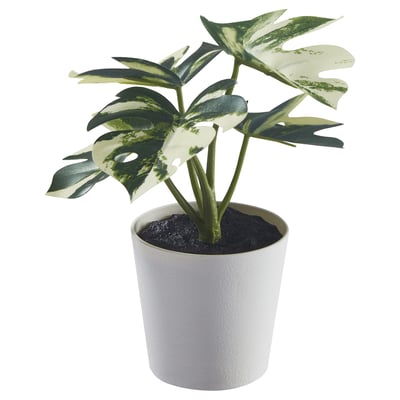 FEJKA Pianta artificiale in vaso, da interno/esterno monstera, 6 cm