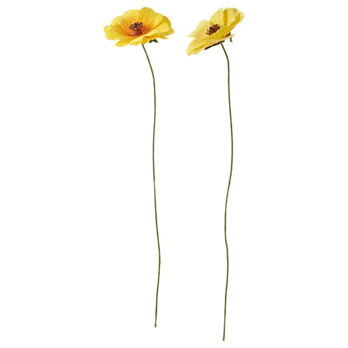 GULDSPETT Fiore artificiale, carta/Ranuncolo colori vari, 35 cm