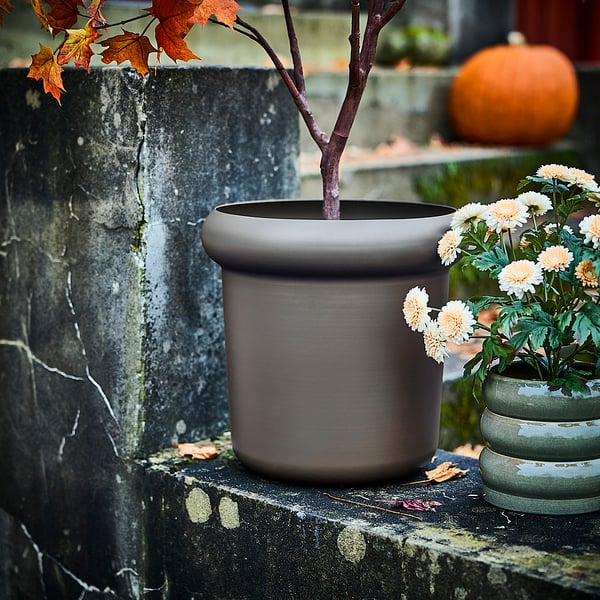 MÅBÄRSBUSKE Vaso, da esterno beige scuro, 32 cm